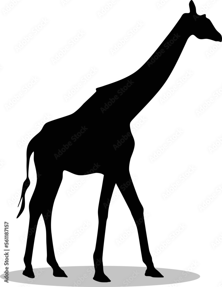 Giraffes Silhouette, cute Giraffes Vector Silhouette, Cute Giraffes