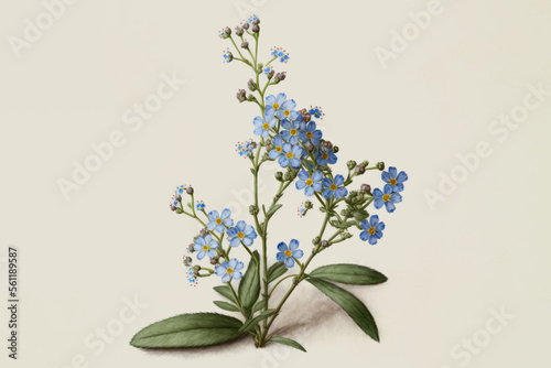 Forget-me-nots, Myosotis sylvatica - Watercolour (Generative Art)