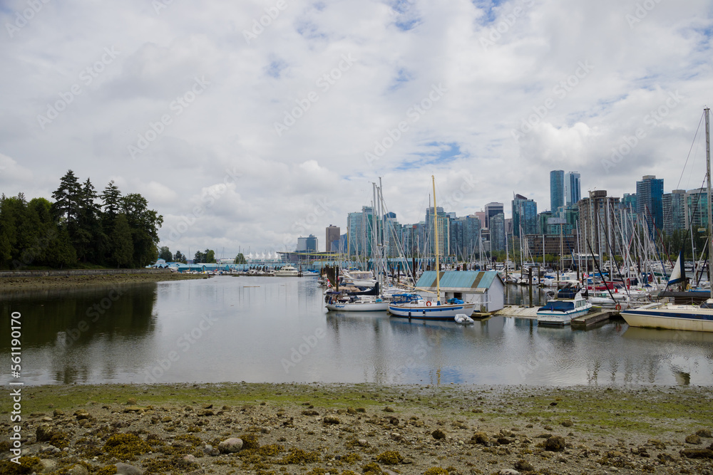 Summer trip across America - Stanley Park waterfront, downtown Vancouver, harbor with yachts and boats, skyscrapers and nature. Calm water of the bay, low tide. Summer trip across America - Stanley Park waterfront, downtown Vancouver, harbor with yachts and boats, skyscrapers and nature. Calm water of the bay, low tide.