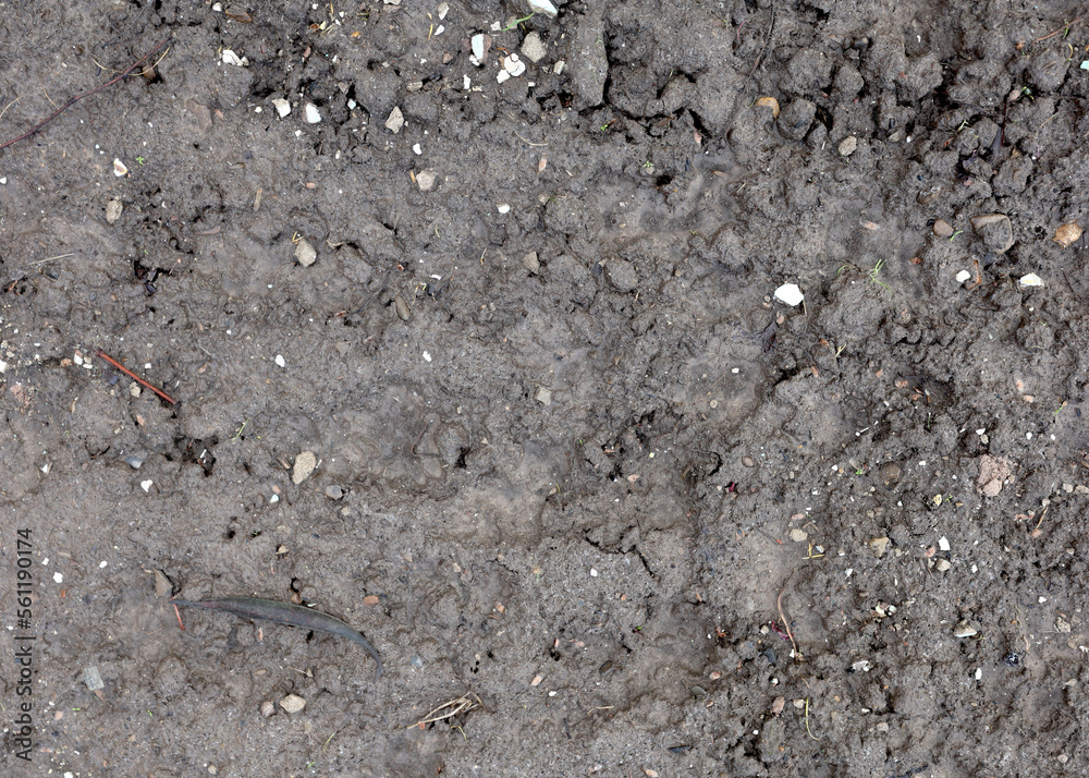 Top view, ground texture. Background of wet soil Top view, ground texture. Background of wet soil