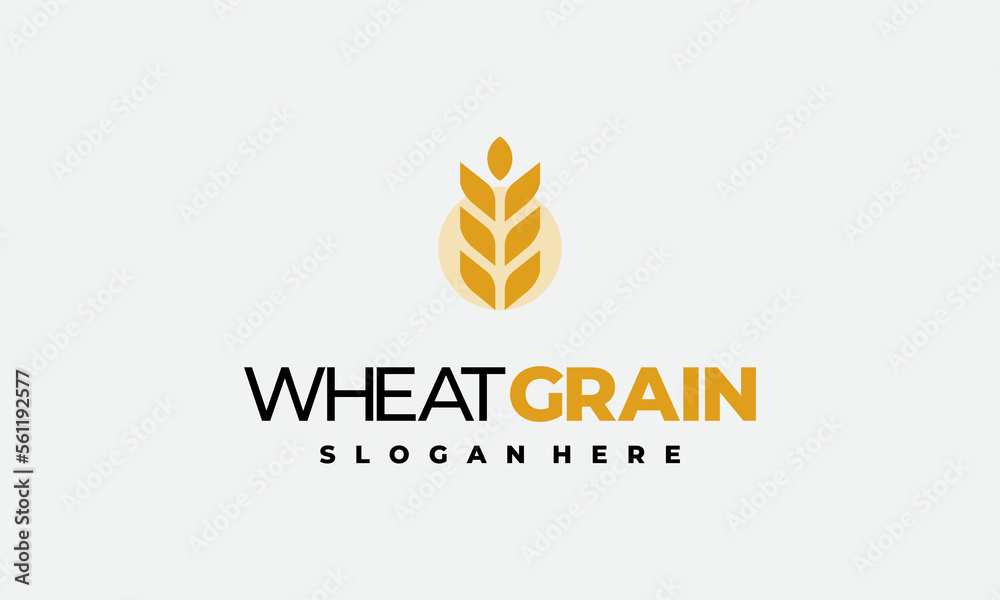 Simple Grain wheat logo concept, Agriculture wheat Logo Template vector icon