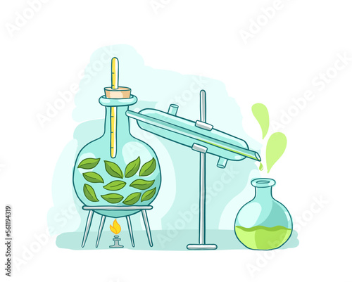 Essential oil making. Distillations aromatic oils. Perfumery substances Distiller equipment. Vector infographic illustration.