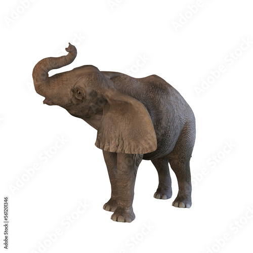 elephant baby 3d render 