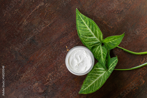 Face cream moisturiser  glass jar on wooden table background  skincare and cosmetic  beauty product concept with green tropial leaves. Copy space