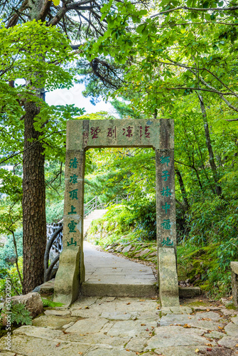 wooden bridge in the forest © 大 李