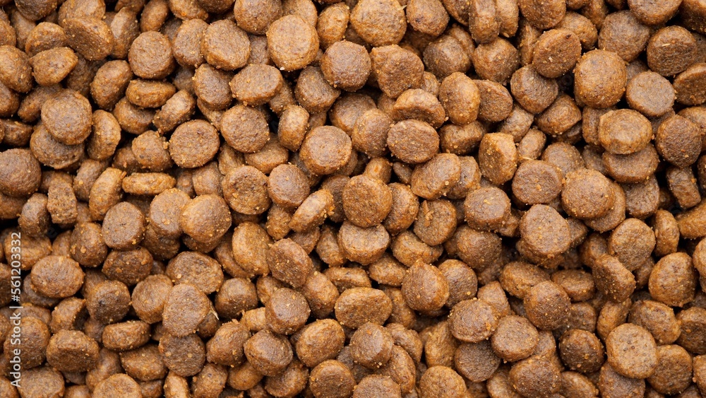 Dry dog or cat food top view