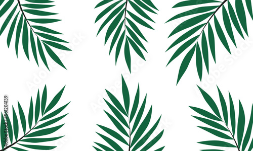 Vector illustration of green palm leaves isolated on white background