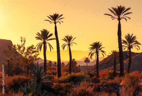 beautiful tropical sunset with palm trees and mountains silhouettes