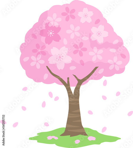 春の桜の木と花びら　イラスト素材