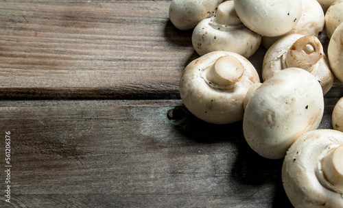 Fresh scented mushrooms.