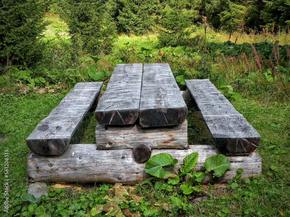 Fototapeta premium A place to relax in nature