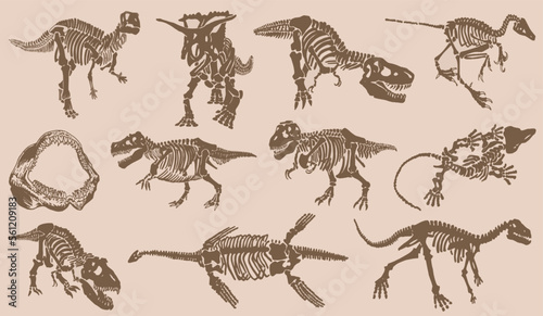 Graphical big vintage set of dinosaurs on sepia background, vector illustration.Fossils