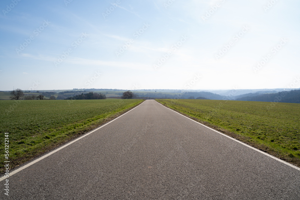 View of a rural road between grassy fields in the landscape on a sunny day with blue sky in spring