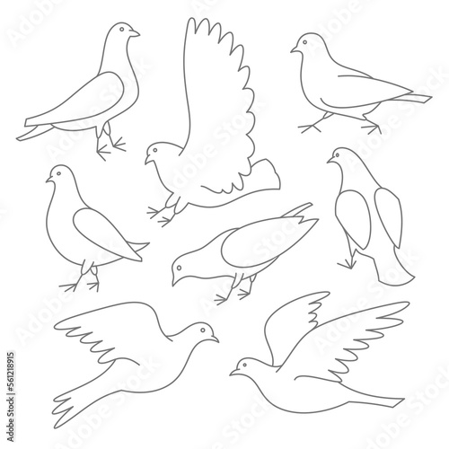 Set of linear pigeons. Collection of thin line doves. Editable shapes. Vector illustration