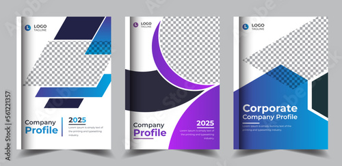 Corporate company annual report, business brochure and book cover design