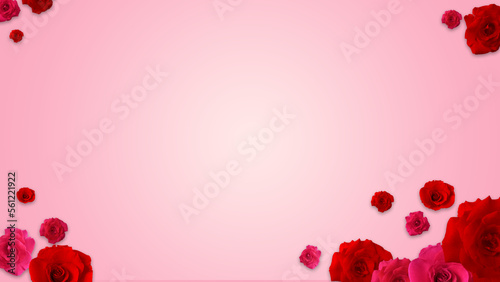 Pink background frame red rose