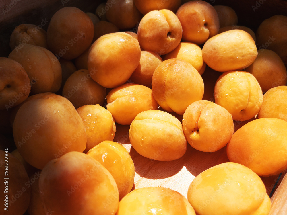 Lots of fresh apricots in a box close-up Lots of fresh apricots in a box close-up