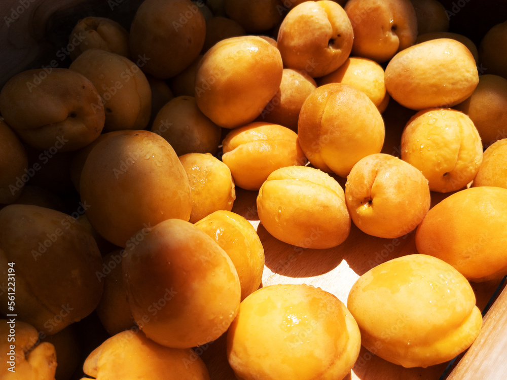 Lots of fresh apricots in a box close-up Lots of fresh apricots in a box close-up