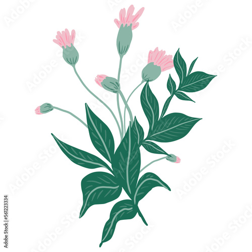 Hand draw flowers and leaf doodle elements.Floral design for greeting cards