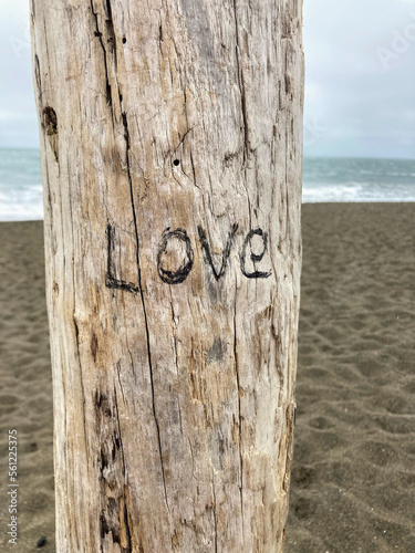 wooden sign on the beach