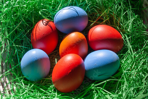 easter eggs in grass