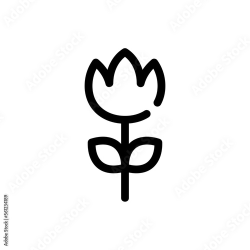 macro line icon
