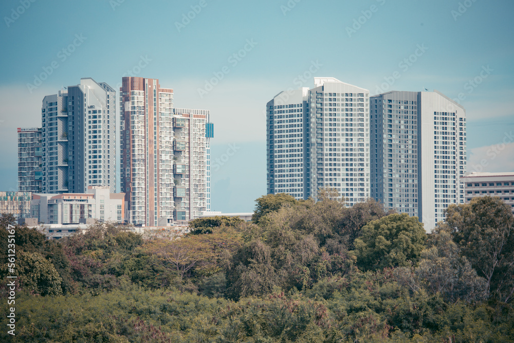 Condo front side forest Condo front side forest