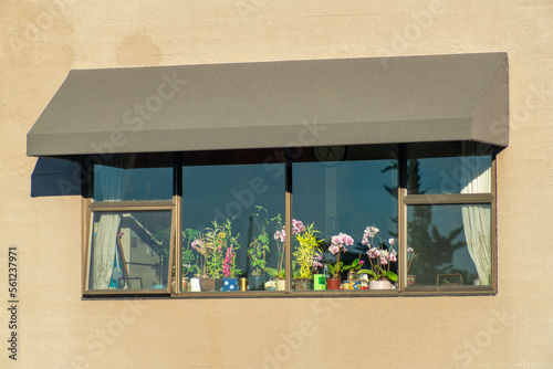 Brown awning with window and visible objects on mantle or kitchen with plants and potted decorations in house or home
