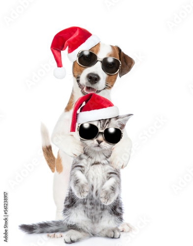 Happy Jack russell terrier puppy and funny cute kitten wearing sunglasses and santa hats standing together. isolated on white background © Ermolaev Alexandr