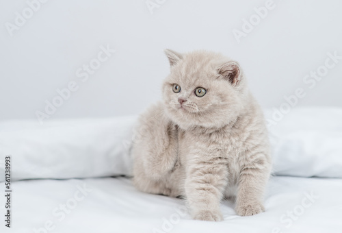 Cute kitten scratching itself on a bed at home