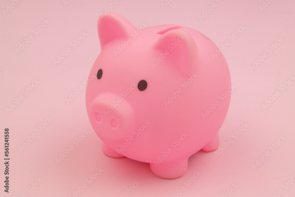 Close up of piggy bank on pink background.