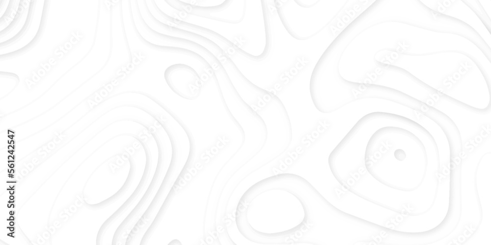 Abstract 3d wavy line paper cut white background.realistic papercut decoration textured with wavy layers.3d Topographic canyon geometric map relief texture with curved layers and shadow. Abstract 3d wavy line paper cut white background.realistic papercut decoration textured with wavy layers.3d Topographic canyon geometric map relief texture with curved layers and shadow.