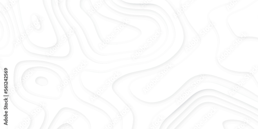 Abstract 3d wavy line paper cut white background.realistic papercut decoration textured with wavy layers.3d Topographic canyon geometric map relief texture with curved layers and shadow. Abstract 3d wavy line paper cut white background.realistic papercut decoration textured with wavy layers.3d Topographic canyon geometric map relief texture with curved layers and shadow.