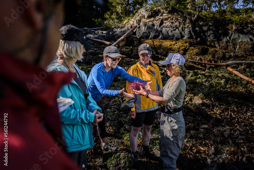 Guide showing sea urchin to group,â€ Cracroftâ€ Island, British Columbia, Canada photo