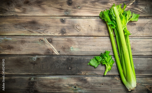 Fresh juicy celery.