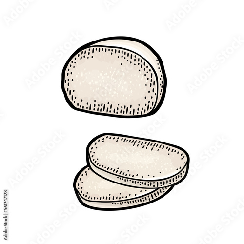 Mozzarella half and slices. Vvintage color engraving illustration isolated on white