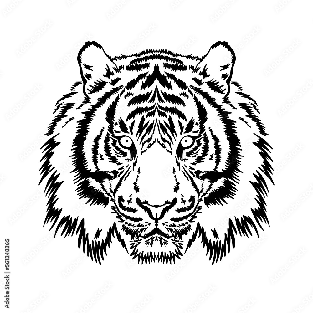 Black and white illustration of a tiger. Animal's head against a white background. Hand drawn illustration. Icon template.
