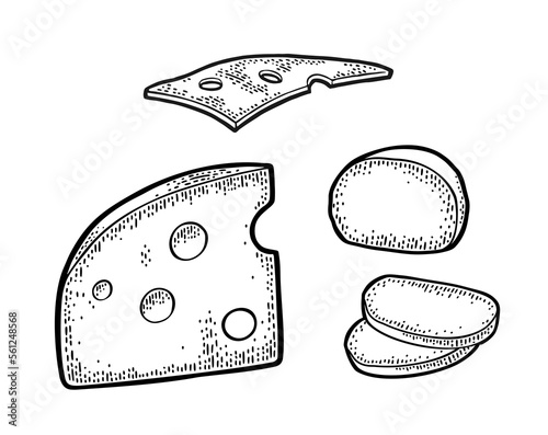 Pieces of cheese. Vector vintage engraving illustration isolated on white