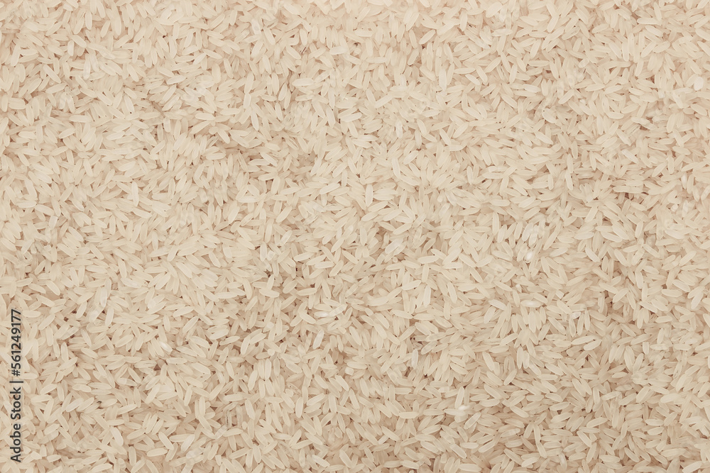 rice texture white jasmine basmati background rice texture white jasmine basmati background
