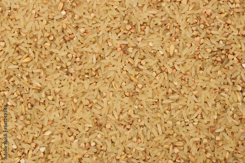 rice texture white jasmine basmati background rice texture white jasmine basmati background