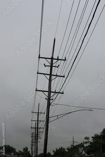 power lines in the morning
