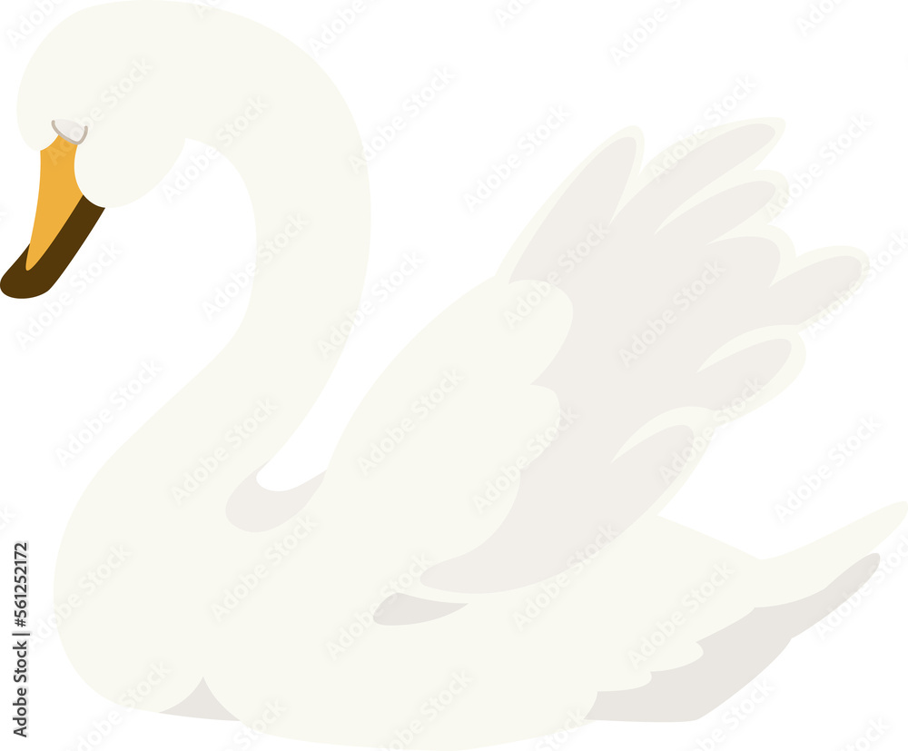 Obraz premium 白鳥02