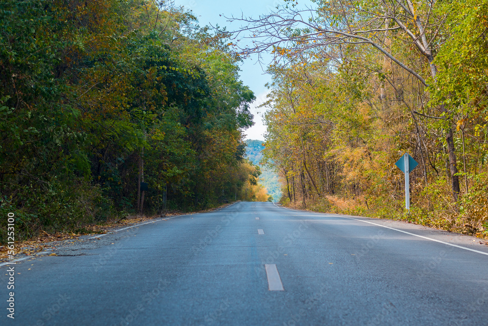 Landscape road line surrounded by trees and forest with natural mountains. Landscape road line surrounded by trees and forest with natural mountains.