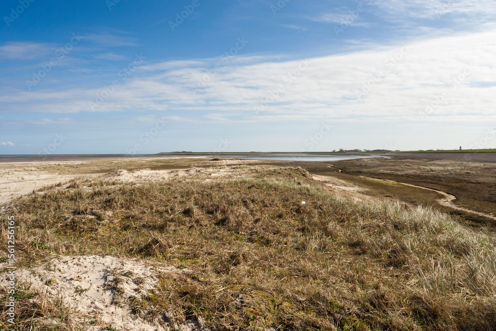 Landscape at Texel Landscape at Texel