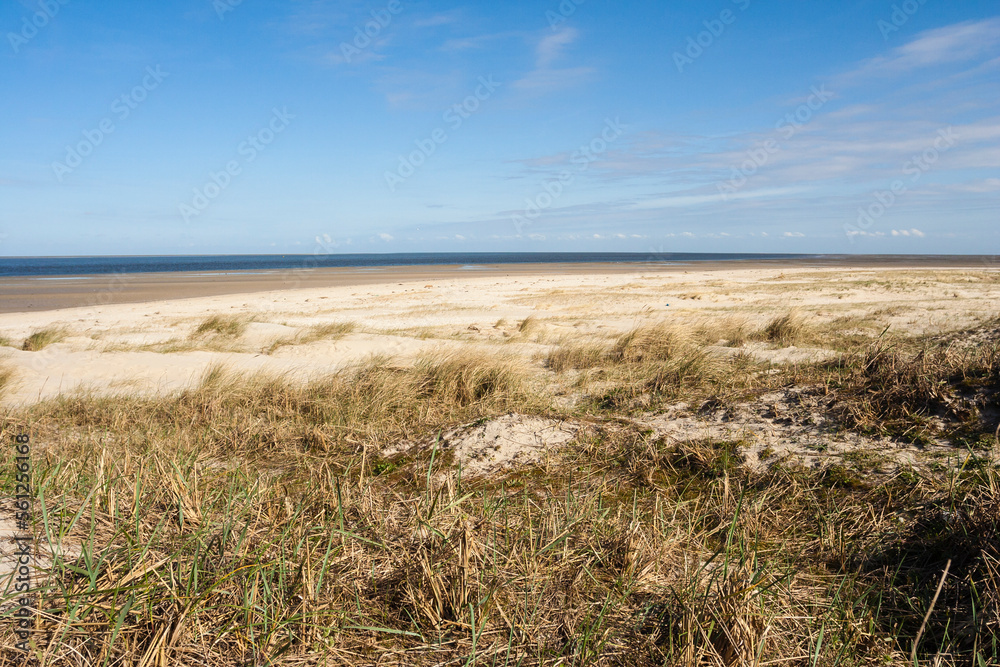 Landscape at Texel