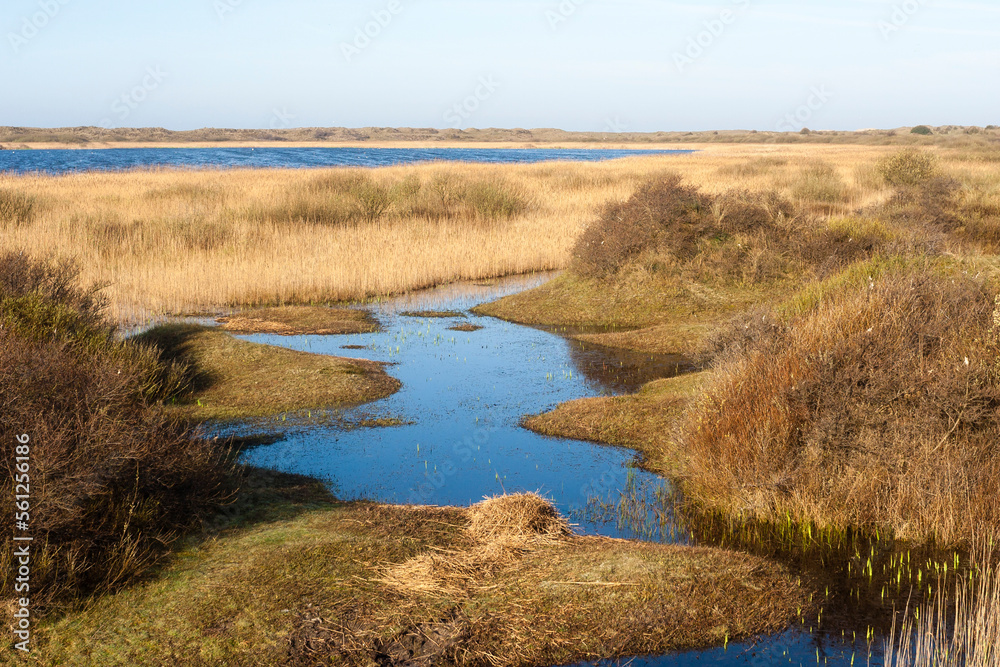 Landscape at Texel