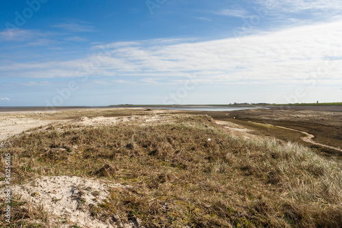 Landscape at Texel