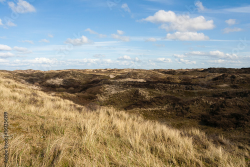 Landscape at Texel