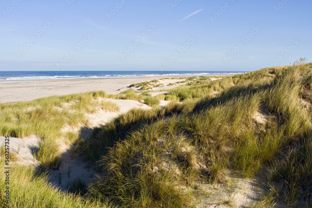 duinvorming Vlieland, new dunes Vlieland, Netherlands