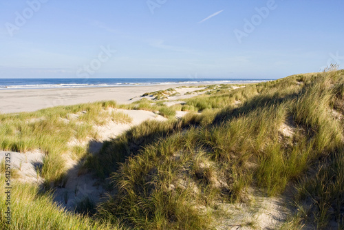 duinvorming Vlieland, new dunes Vlieland, Netherlands photo